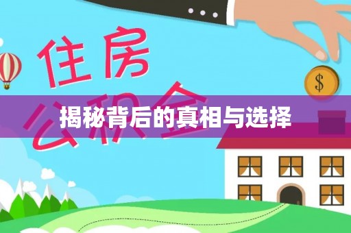 泉山揭秘背后的真相与选择
